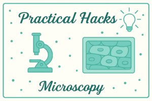 Hack it at Home: A Microscopy Practical - GCSE Biology